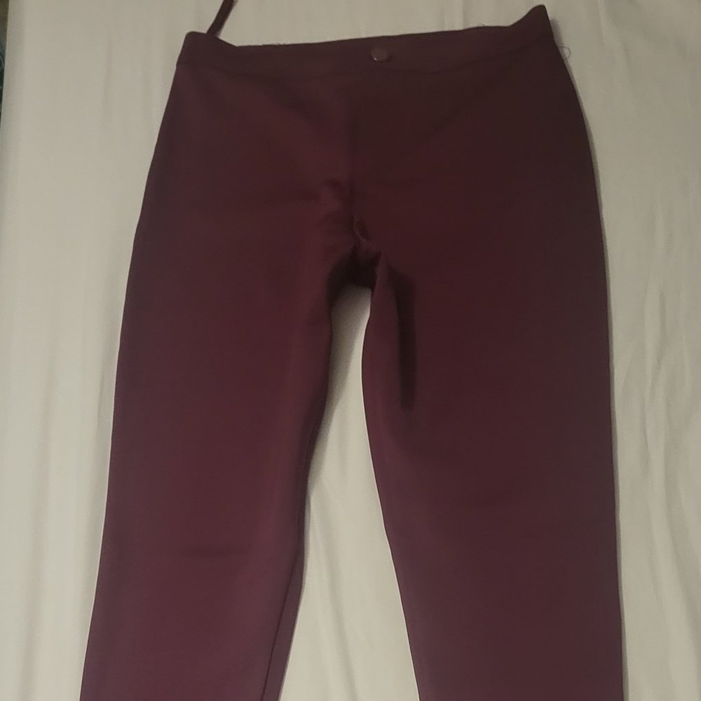 Motel Rocks shiny skinny purple pants